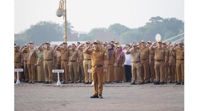 WhatsApp Image 2024-07-16 at 20.21.55