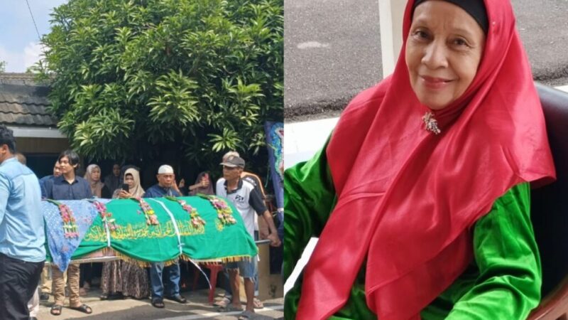 WhatsApp Image 2024-07-17 at 15.20.04 WhatsApp Image 2024-07-17 at 15.20.04