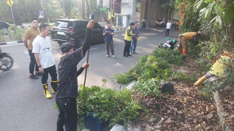 WhatsApp Image 2024-07-19 at 16.41.49