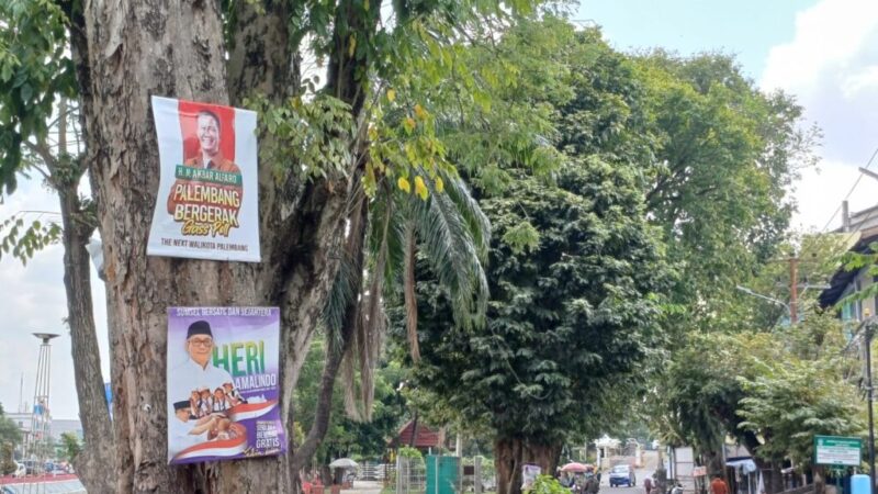 WhatsApp Image 2024-07-19 at 16.42.15