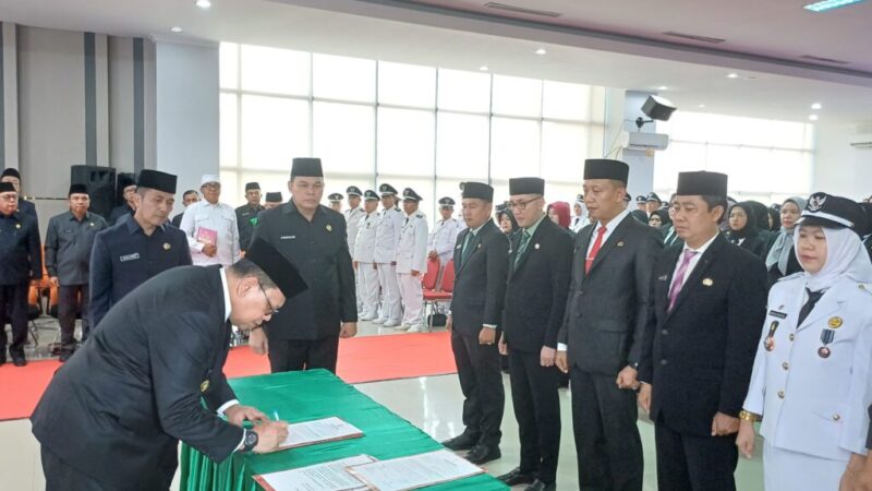 WhatsApp Image 2024-07-26 at 19.07.59