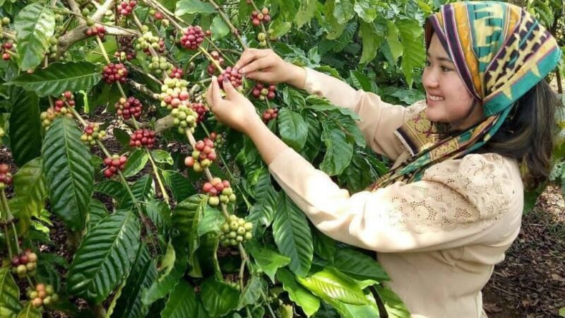 WhatsApp Image 2024-07-31 at 17.56.38