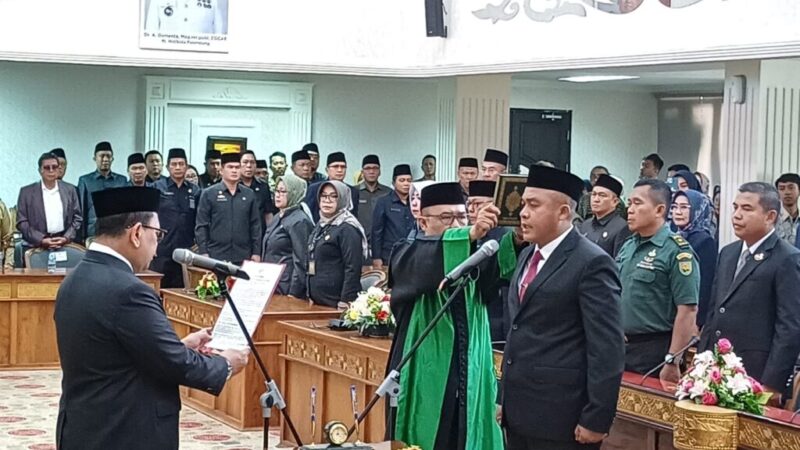 WhatsApp Image 2024-08-01 at 15.11.28