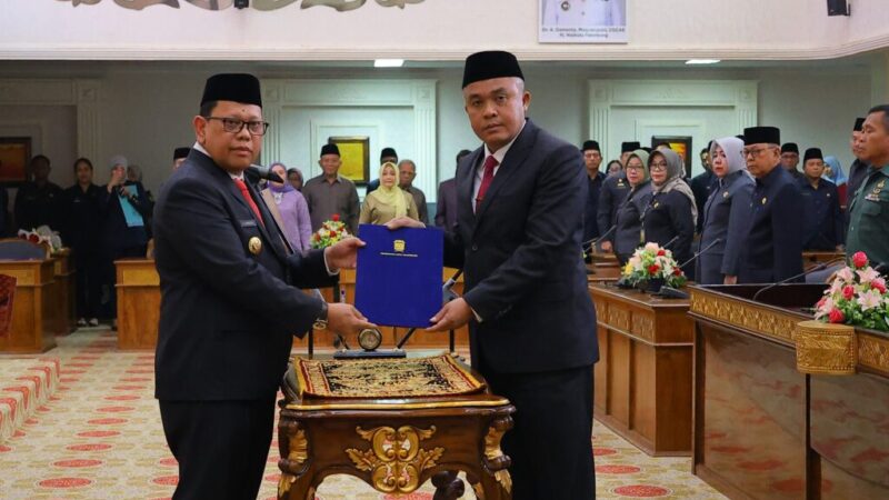 WhatsApp Image 2024-08-01 at 15.11.29