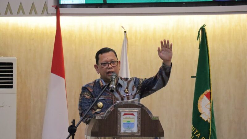 WhatsApp Image 2024-08-06 at 16.01.32