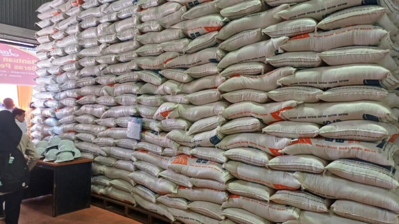 WhatsApp Image 2024-08-09 at 16.53.56