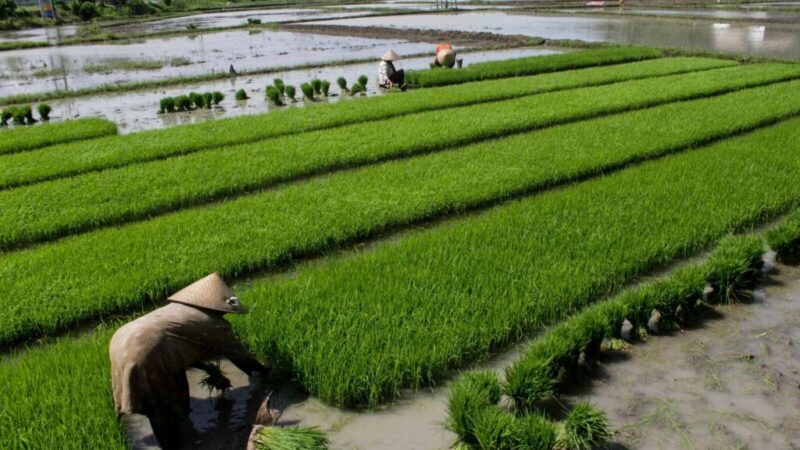 WhatsApp Image 2024-08-14 at 21.13.17 (1)