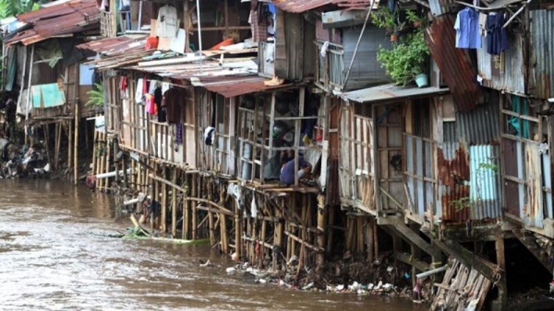 WhatsApp Image 2024-08-14 at 21.13.18