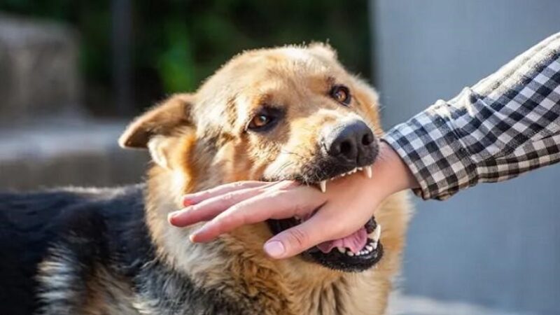 WhatsApp Image 2024-08-26 at 19.31.07