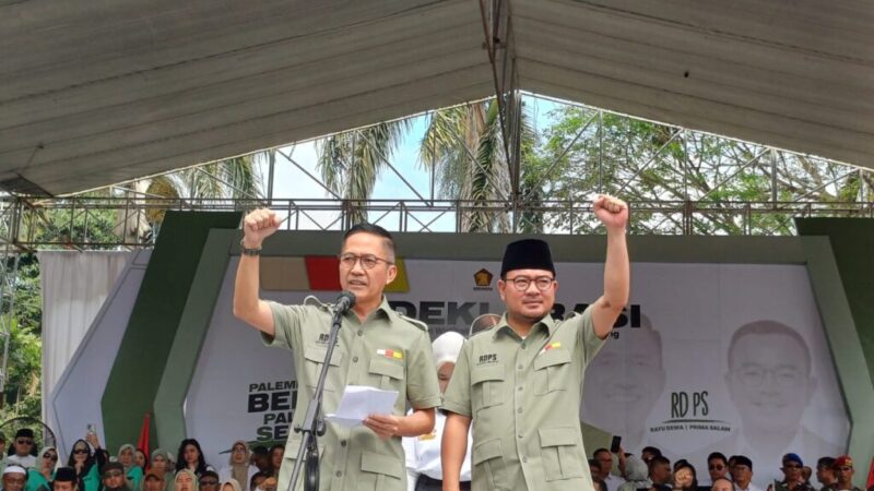 WhatsApp Image 2024-08-29 at 14.59.11