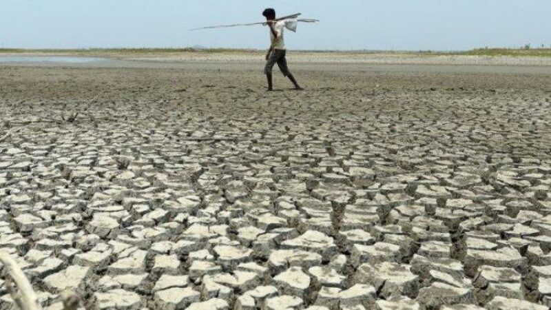 WhatsApp Image 2024-09-05 at 19.23.59