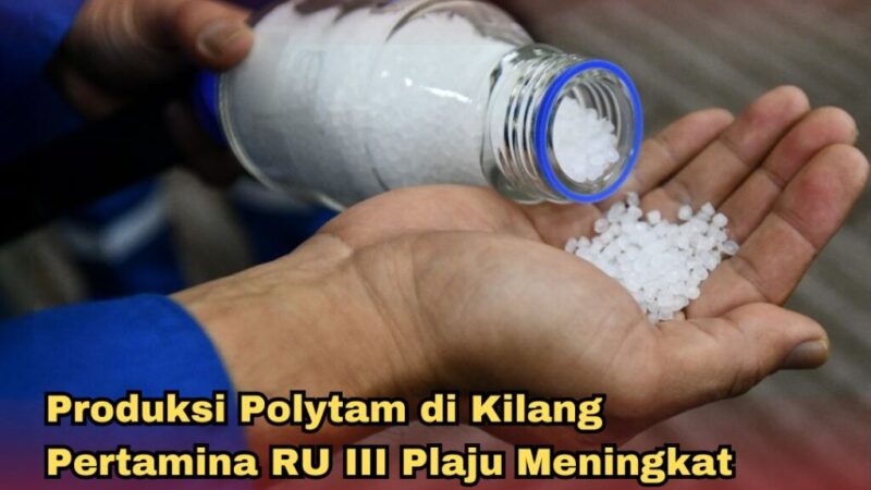 WhatsApp Image 2024-09-16 at 09.38.20 (1)