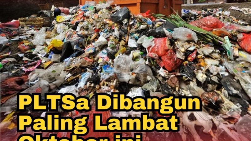 WhatsApp Image 2024-09-16 at 15.09.03