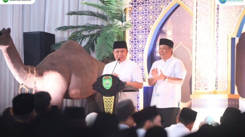 WhatsApp Image 2025-03-02 at 21.56.35