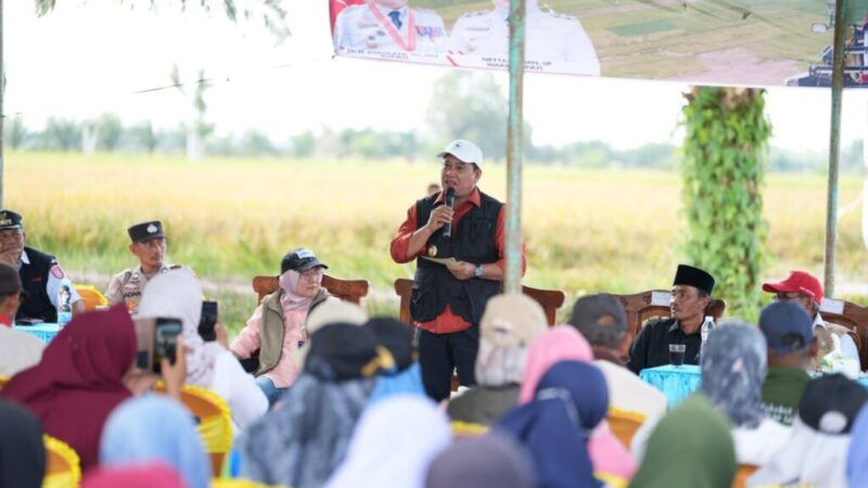 PANEN RAYA SONGO MAKMUR